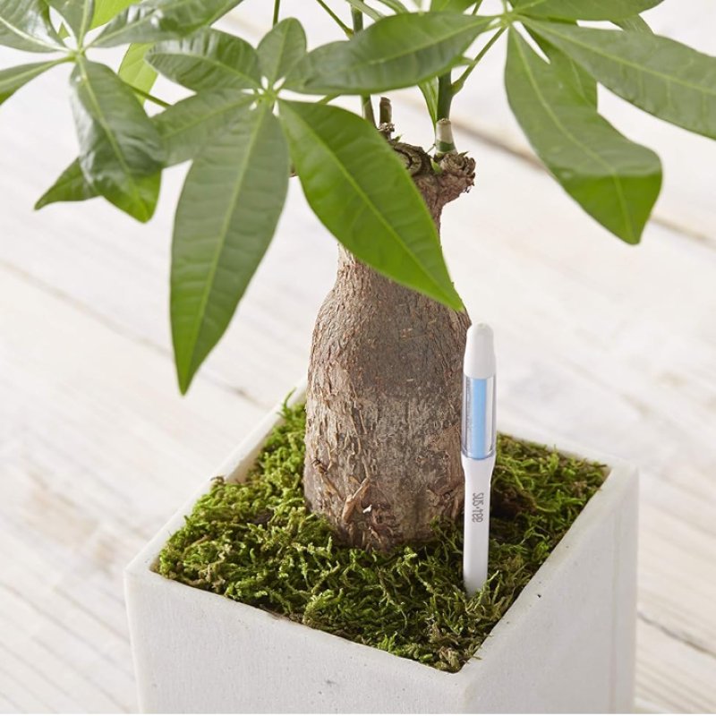 waterniveaumeter, De bewateringsindicator voor planten SUStee (set van 5)