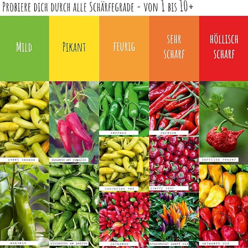 VALEAF Chili zaden set12 scherpe tot milde zaden van chilipepers van de hoogste kwaliteit - van Carolina Reaper zaden tot zeldzame chiliplanten soorten