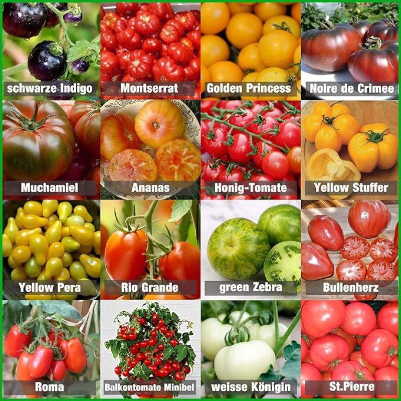 Tomatenzaadset 16 x 10 zaden tomatenmix 100% natuurlijke zaden handgeplukt uit Portugal, zeldzame en oude rassen